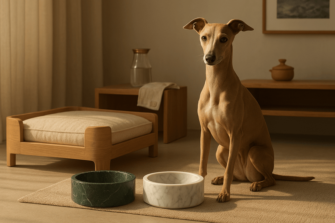 Crafted Comfort, Lasting Health - The PetLux Club