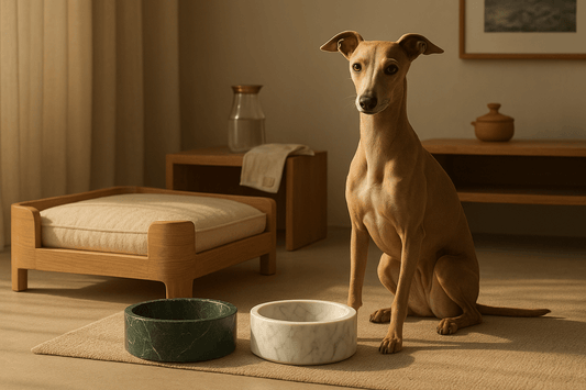 Crafted Comfort, Lasting Health - The PetLux Club