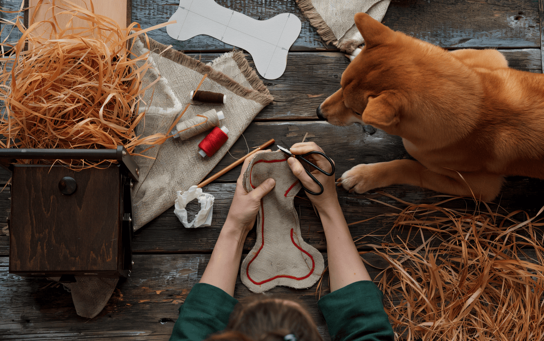 Elevate Your Pet’s Lifestyle with Handcrafted Luxury & Sustainable Elegance - The PetLux Club