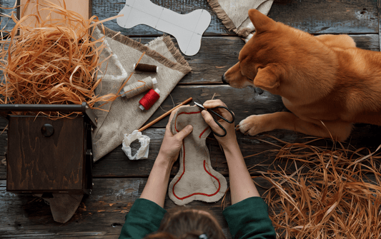 Elevate Your Pet’s Lifestyle with Handcrafted Luxury & Sustainable Elegance - The PetLux Club