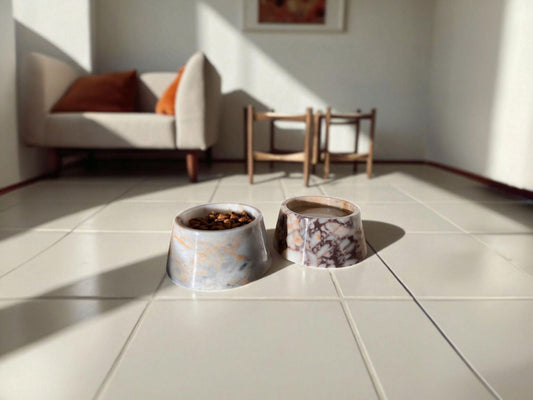 Luxe Marble Duo — Hand‑Polished Marble Pet Bowls | The PetLux Club